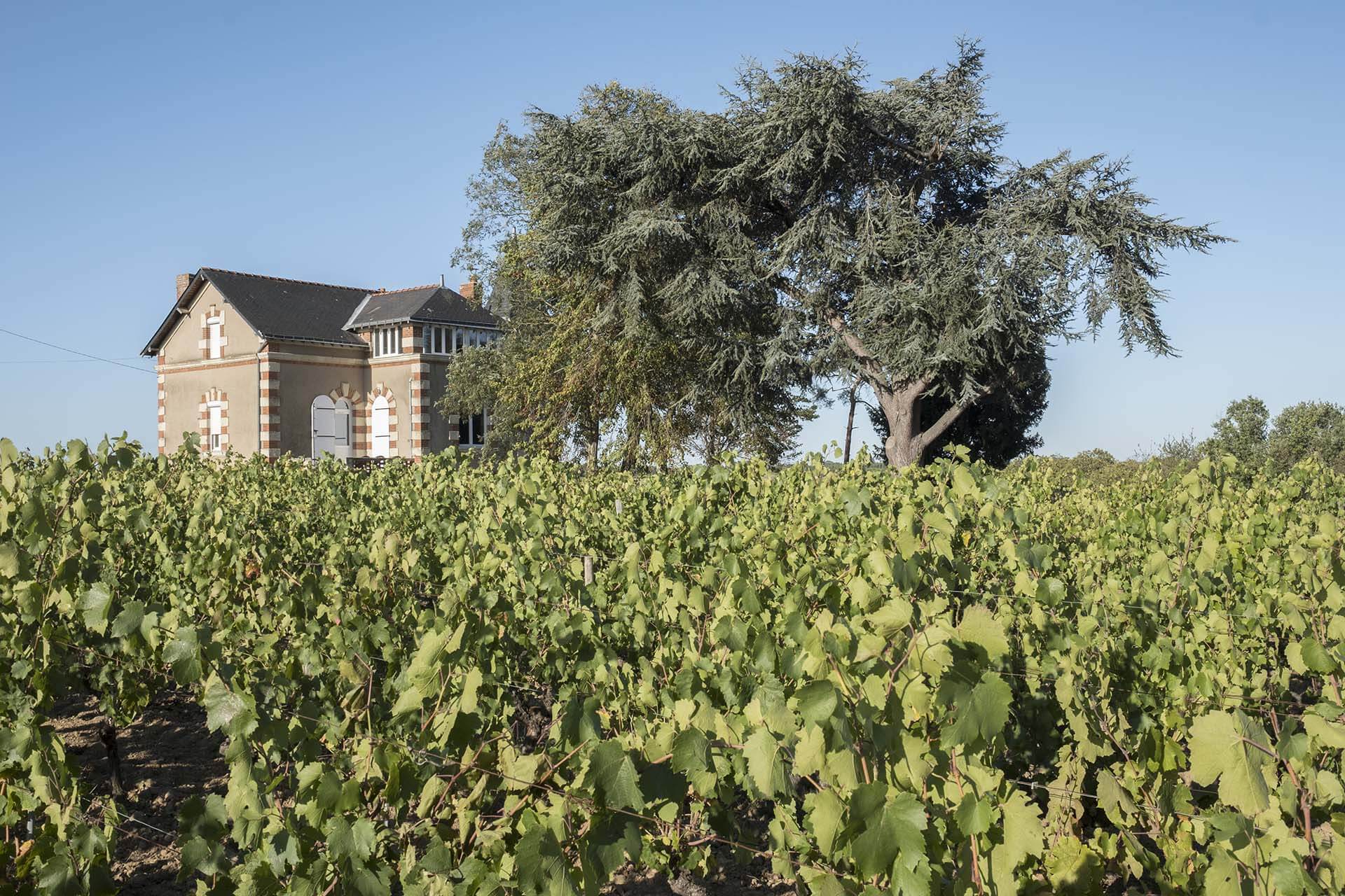 Domaine des Hardières