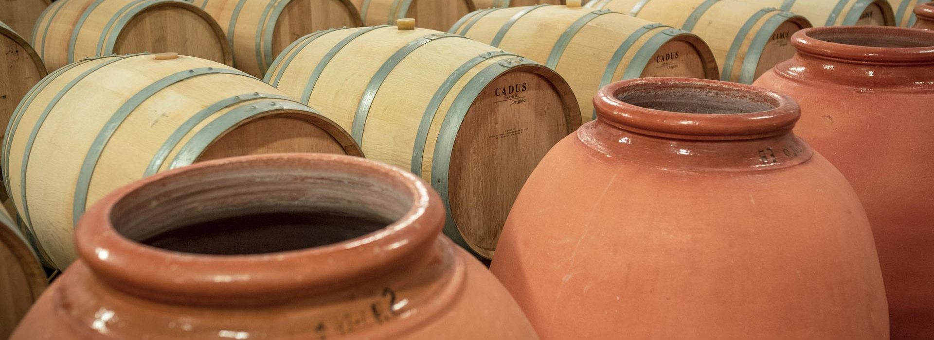 Barrel storehouse and amphoras at Chateau la Varière