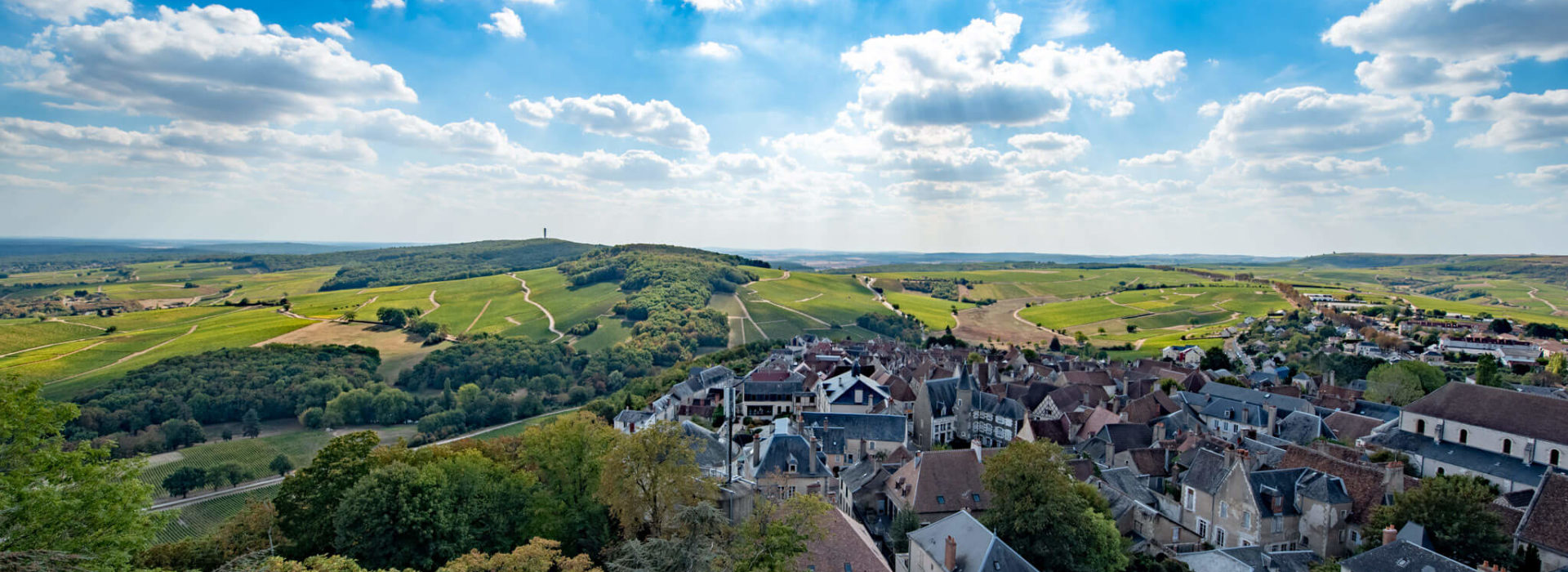 Orchidees chateau Sancerre